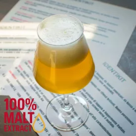 H-07240 Ultra Belgian Blonde – 18 l