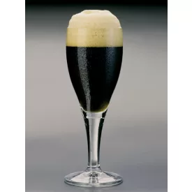 H-06540 Schwarzbier 21 l – YEASTFLOW