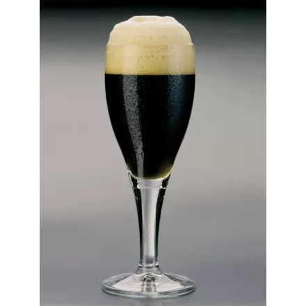 H-06540 Schwarzbier 21 l – YEASTFLOW